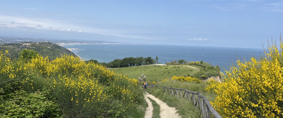 Mio Piccolo Castello Mio Piccolo Castello