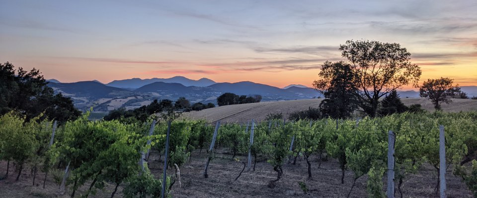 Mio Piccolo Castello Mio Piccolo Castello